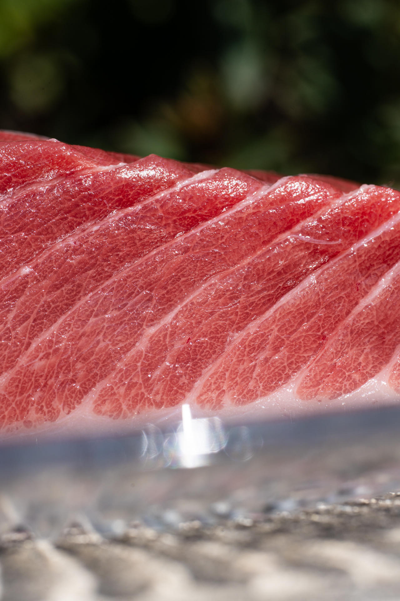 Sliced tuna loin glistening in sunlight